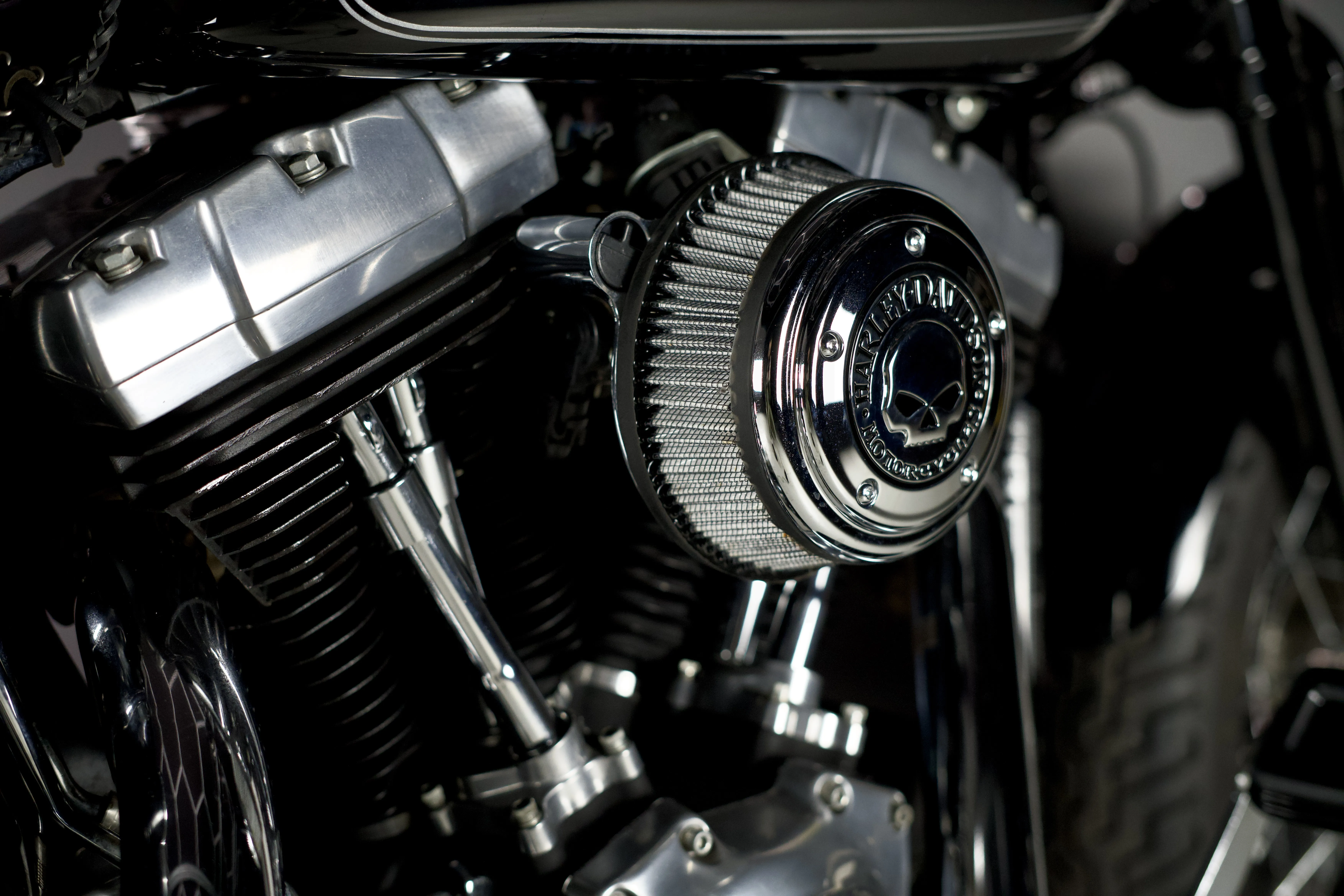 Cross Bones vue complémentaire